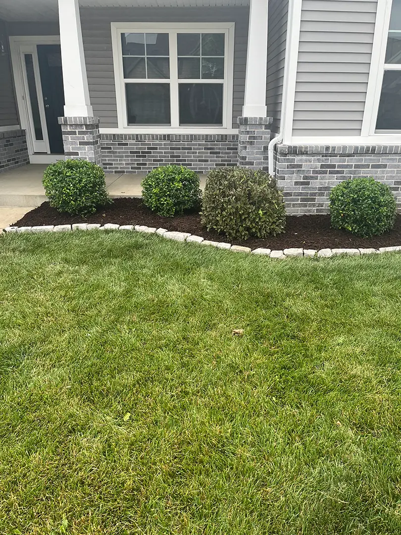 Professional landscape maintenance Belleville IL